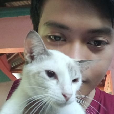 niconico2827's profile picture. d2 na muna circle q / puro rants lng