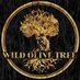 Wild Olive Tree (@WildOliveTree_) Twitter profile photo