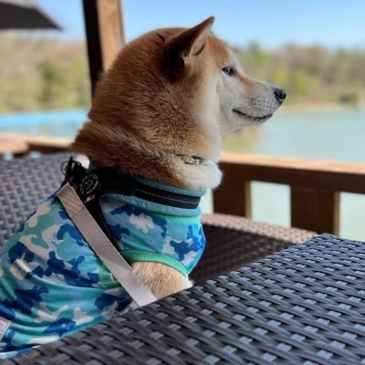 m48ao_gr86124's profile picture. LEXUS LBX MORIZO RR 6MT納車🌟  Toyota GR86 RZ 6MT →ABARTH 124spider / 90年代のスポーツカー好き❤️ よろしくお願いします😆 📸 Nikon D850 / FUJIFILM XH2s  /  ラリー、レースの期間だけ鍵外します🙇‍♀️