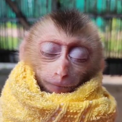 tarun_bod's profile picture. nerd