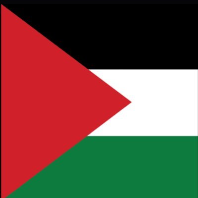 Adelb73's profile picture. 🇵🇸Proudly 100% Palestinian🇵🇸