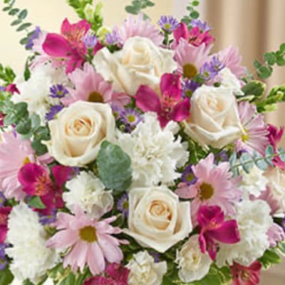 ayesha0k6's profile picture. 