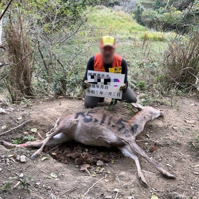 キャンプ場管理人 JA22乗り 罠猟・銃猟の投稿が有りますので、嫌いな方は見ないでください