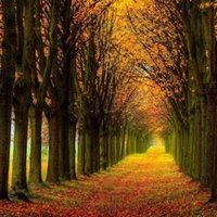 JuneBug (@bugjune1394) 's Twitter Profile Photo JuneBug (@bugjune1394) 's Twitter Profile Photo