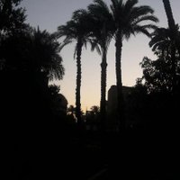 يُوْسُفْ (@yousefkh086) 's Twitter Profile Photo