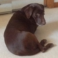 Shaughan MacGiollaBhride (@macmishap) 's Twitter Profile