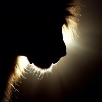 Azzam (@strangerfrommv) 's Twitter Profile