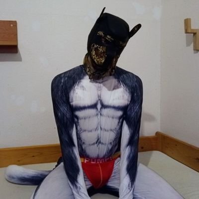 Age: 21 | Furry | Gay🏳️‍🌈 | NSFW🔞 | Horny | Good boy | Fetish: Petsuit, Latexfur,Vore, Puppy mask |