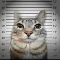 dobefan621 (@mabberoni) 's Twitter Profile Photo dobefan621 (@mabberoni) 's Twitter Profile Photo
