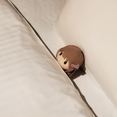 mifunefumi's profile picture. 聖蹟桜ヶ丘で美希とあさひのお世話をしています。