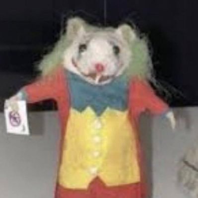 sgrant2462's profile picture. I genuinely made this account for a class in high school