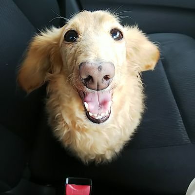 ayanokouzi69's profile picture. ポイ活 懸賞 ポイント クーポン