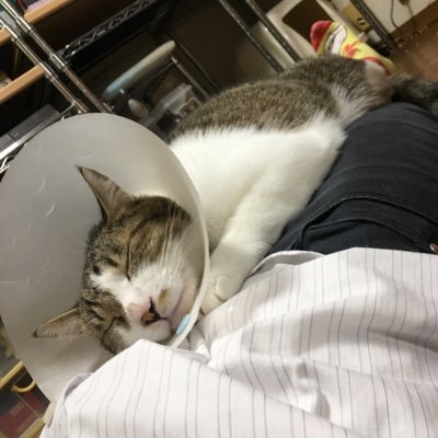 20↑ほぼROM垢です。そして愚痴垢。