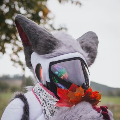 8BitProtogen Profile Picture