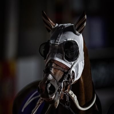 小さな牧場です。
生産馬応援　所有馬応援‼️
子供の野球応援を趣味にしています😃　
ミックファイア (南関東3冠馬)、フルム 、ブラッティーキッド 、リリーミニスター、スナークラファエロ、ユウキソルジャー の故郷🏇💨