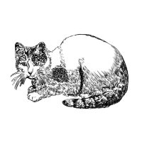 konekotech (@konekotech) Twitter profile photo