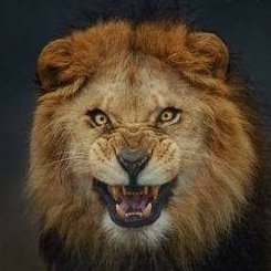 SebastienCaumes's profile picture. Lead CTO @Allocine - https://t.co/NbLMAG017h @JVCom - @OverBlog - The Boxoffice Company