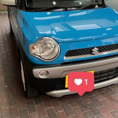 mesia_hiratuka's profile picture. 