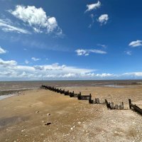 netty noo (@netty8181) 's Twitter Profile Photo