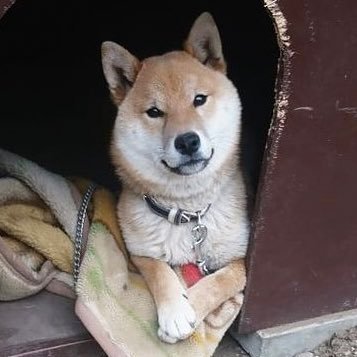 農家の嫁のつぶやき ルール使い方まだよく分かりません🔰🙏何かと間違えていたらごめんなさい🙇‍♀️  反抗期息子達との思い出や子離れの為のソロ活記録✨