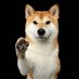 Sweet Pet's Nose Boops and Furry Comfort (@triltt64549) Twitter profile photo Sweet Pet's Nose Boops and Furry Comfort (@triltt64549) Twitter profile photo