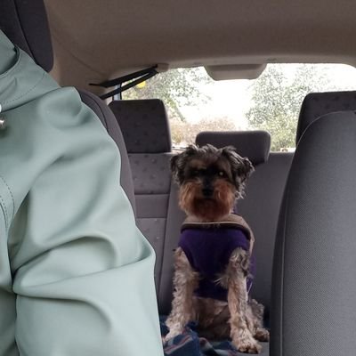 CRCRN Orthopedics | Later is al lang begonnen| #schnauzergang |My little dog, ❤️ | begaan met OR NW | gelukzoeker| hardloper| boulderen
