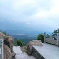 莫知秋 (@smsmssy) 's Twitter Profile