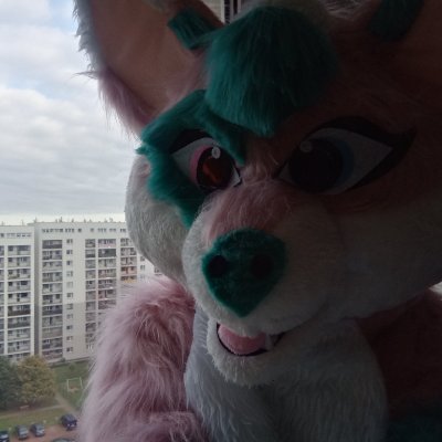 malgorzatanocon Profile Picture