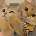 Sallia๐ฒ (@chasemedarl) Twitter profile photo Sallia๐ฒ (@chasemedarl) Twitter profile photo