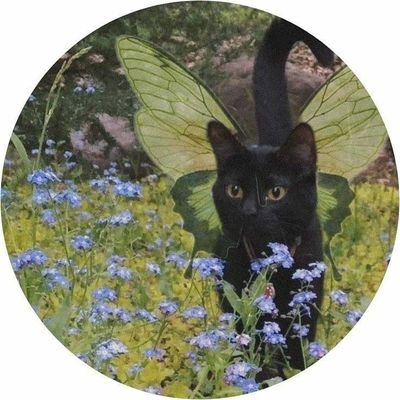 00Purplee00's profile picture. ot7 Bangtan lover fanpage💜