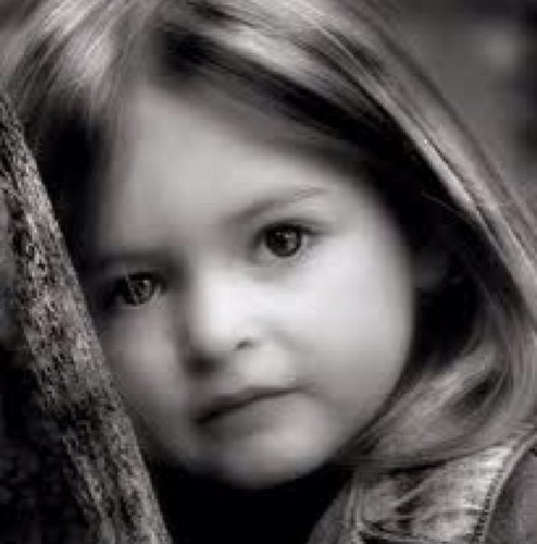 da11235's profile picture. 