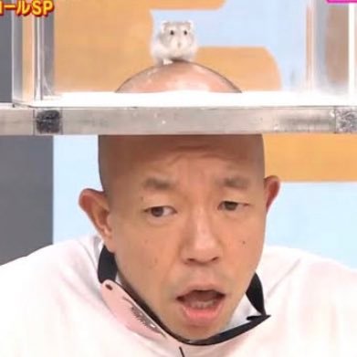 ima3515's profile picture. MAU DI 2年 mkp展示代表