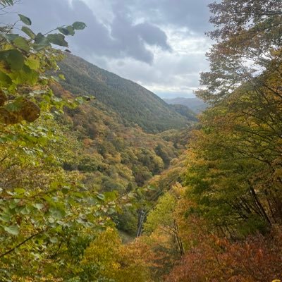 satosdesuyo's profile picture. 