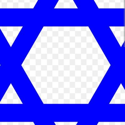 Shaneel10779495's profile picture. 