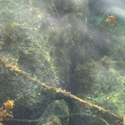 en2AZAYfTSZNinp's profile picture. 高校三年生です。