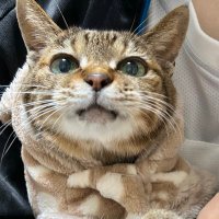 KateOriginal (@kate46534884) 's Twitter Profile Photo KateOriginal (@kate46534884) 's Twitter Profile Photo