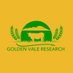 Golden Vale Research (@GoldenVResearch) Twitter profile photo