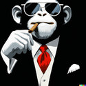 kircher_w's profile picture. 