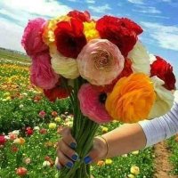 ابو انس (@ansabw33999) Twitter profile photo