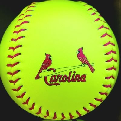 CardinalsAllen's profile picture. "Somewhere behind the athlete, behind hours of practice, behind coaches that pushed you, is a little girl who fell in love with the game and never looked back"