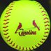 Carolina Cardinals Allen (@cardinalsallen) Twitter profile photo Carolina Cardinals Allen (@cardinalsallen) Twitter profile photo