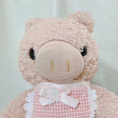 BUTASU_butasu's profile picture. おにんぎょうと馬とブタス ブタスは救世主　初めての馬券は新馬戦です。