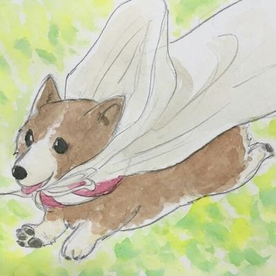 🎃もっす🍎さんのプロフィール画像