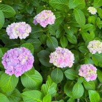 たんち (@kantarou_0605) Twitter profile photo