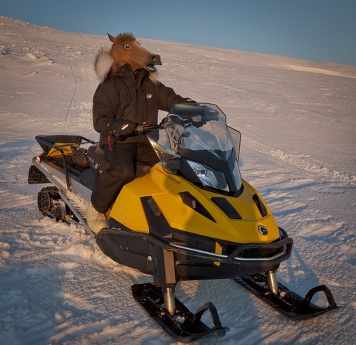 dmmccormick's profile picture. The enchanting wizard of rhythm