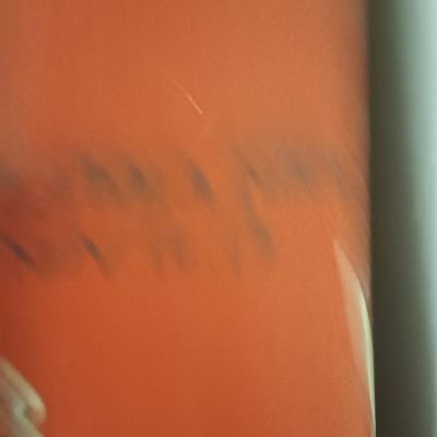 chocomucho36's profile picture. 