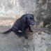 Marcos Fernando Da Silva Andrade (@marcosf56786106) Twitter profile photo Marcos Fernando Da Silva Andrade (@marcosf56786106) Twitter profile photo