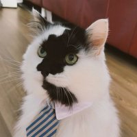 Sir Bubble-o-seven (@bubble__o_seven) 's Twitter Profile Photo Sir Bubble-o-seven (@bubble__o_seven) 's Twitter Profile Photo