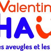 Au comité de Lyon, l'association Valentin Haüy propose des évènements, des réceptions, des loisirs, une bibliothèque Braille, une bibliothèque sonore.