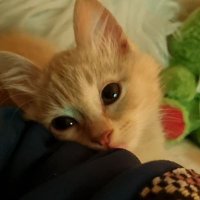 ู
ูุงู (@manalm555) 's Twitter Profile Photo ู
ูุงู (@manalm555) 's Twitter Profile Photo